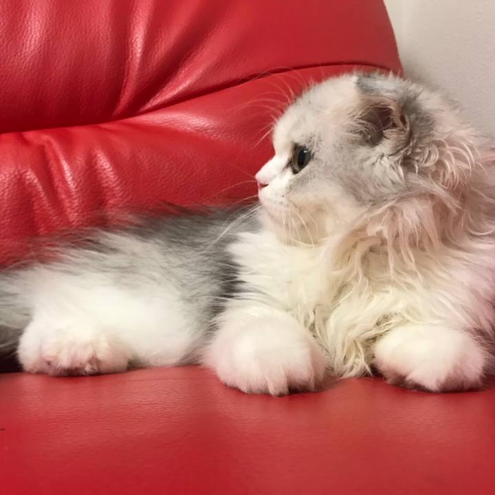 25c663ec 16fc 41a0 85c7 060f3c7620a9 1596845433797