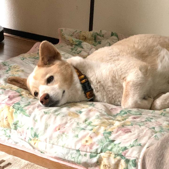 25c66ec9 3b53 43d5 b11f e5e7a9b9b009 1589006720778