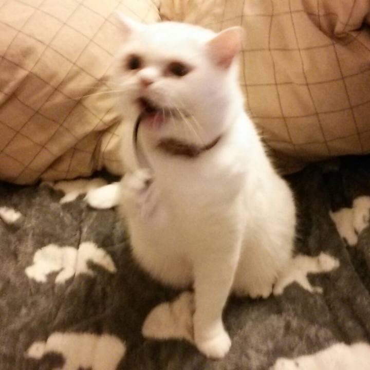 25c6752b 4e0e 4781 b5ce b0b4bd127175 1513896714167