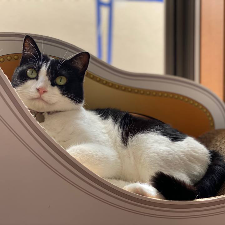 25c676fa d925 49ef 8a10 e20376b70fda 1597892718063