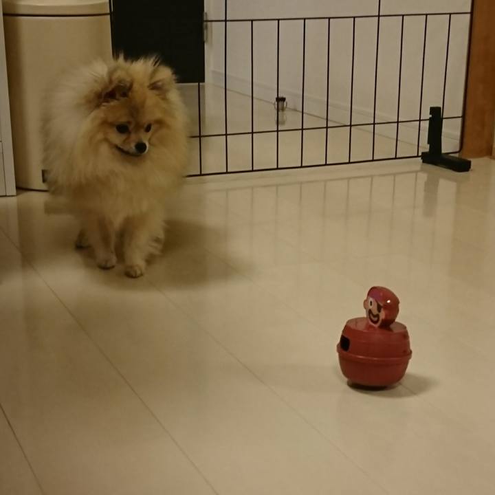 25c6770c 14a2 4f9b a17e 551d97e454d4 1518132438950