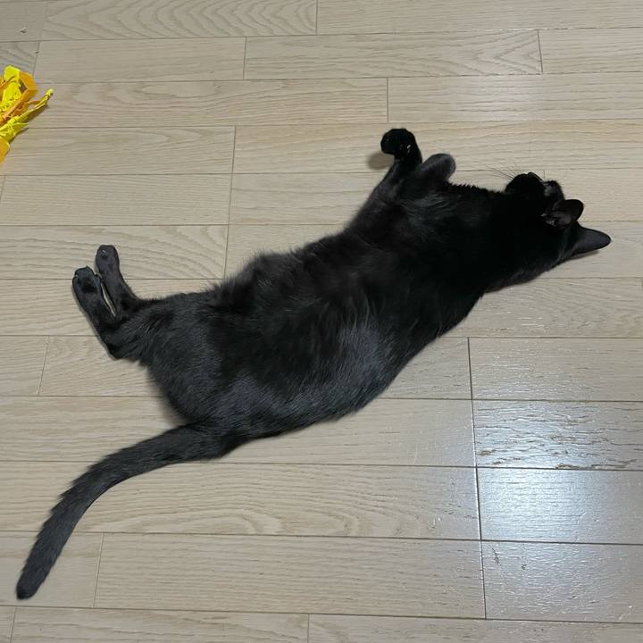 25c6bd32 fd43 44f2 bc89 f01547d4e3fe 1723802780766