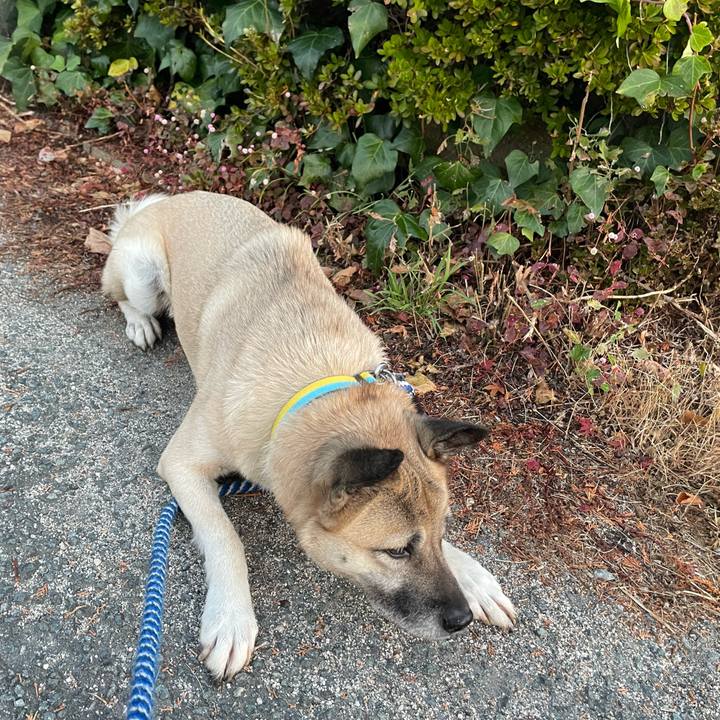 25c6f972 3f9c 4485 aea5 d2f9e28a29e6 1670502430451