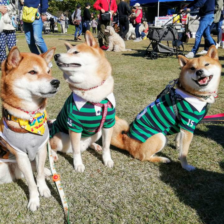 25c7003f 9ce7 4c57 bba0 b9fc649486a1 1636808233556