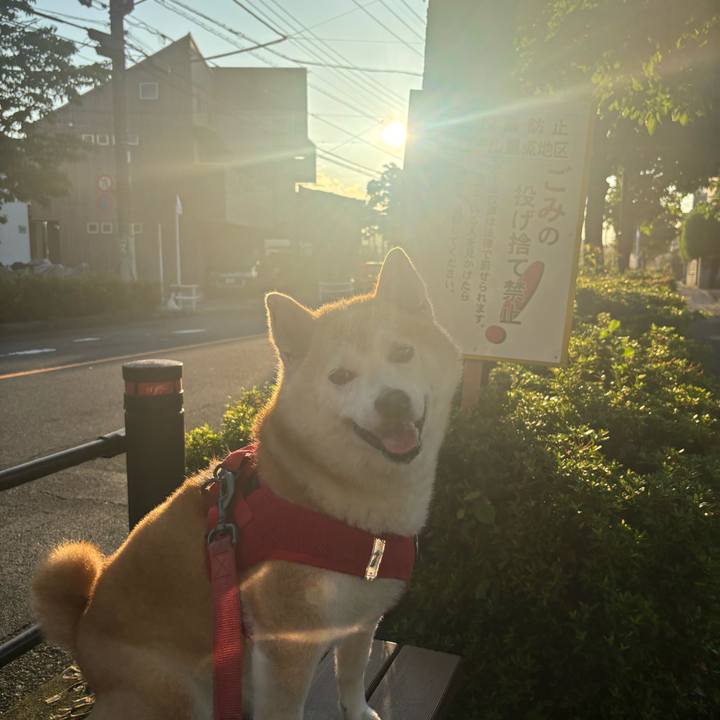 25c76ebe 7ee1 4ecc b1b3 ee56e31c80c6 1749673861627