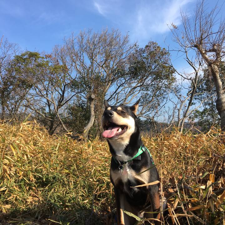 25c7b8af 2d37 4313 97ad 9224cb6a60a9 1514006833412