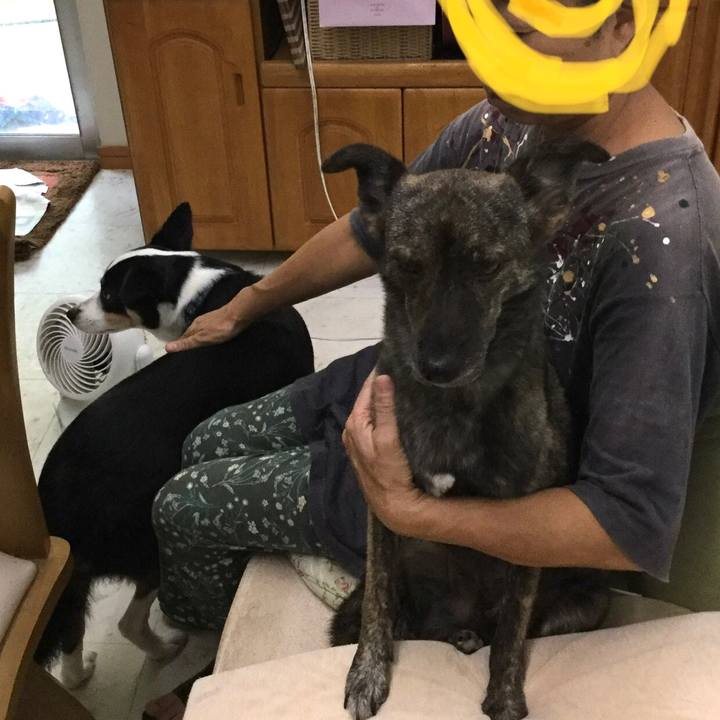 25c7b9aa 2d5b 42b6 b1c0 507707171b42 1599714738782