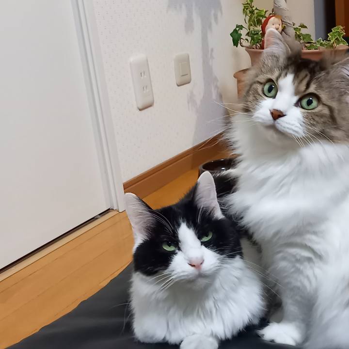 25c7efeb 5839 41e0 a86a f456efb283c8 1677404800670