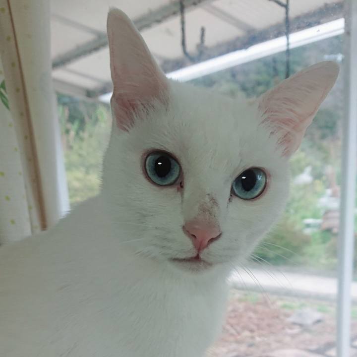 25c80950 6b15 4439 9ac5 0299ecd49555 1615072098073