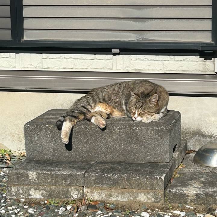 25c812b8 d3c8 41bf 8de8 477aecc2b779 1767670067886