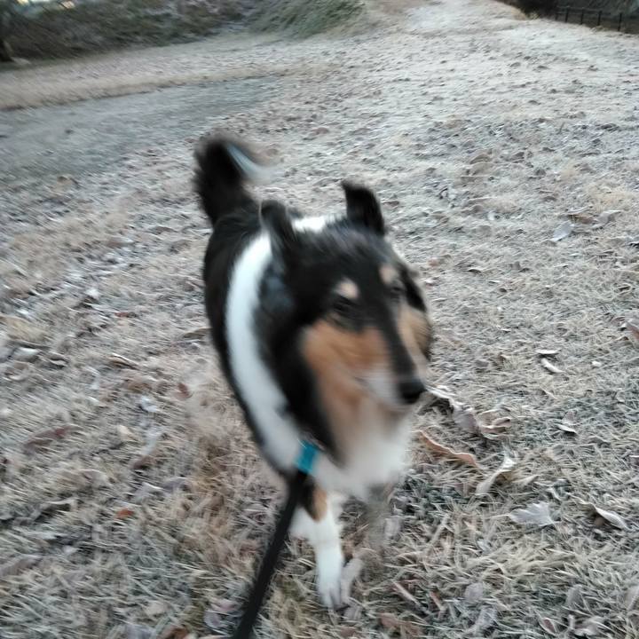 25c8156a 273c 4612 b739 554fe1b27049 1511269811048