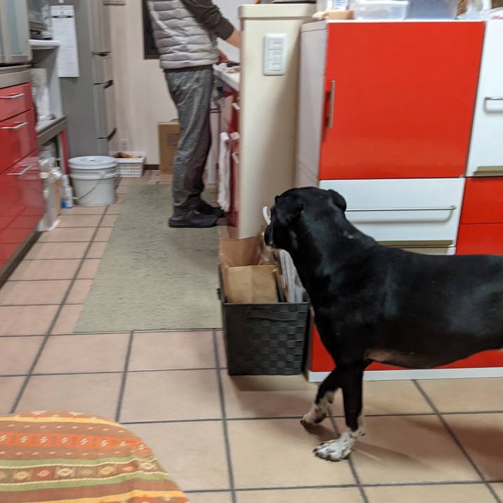 25c81fec 8e3e 4980 8383 b9af3b8a30bf 1646306418485