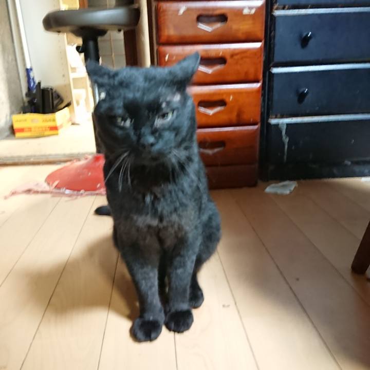 25c85403 ccc0 417f abec 772640838622 1661770440726