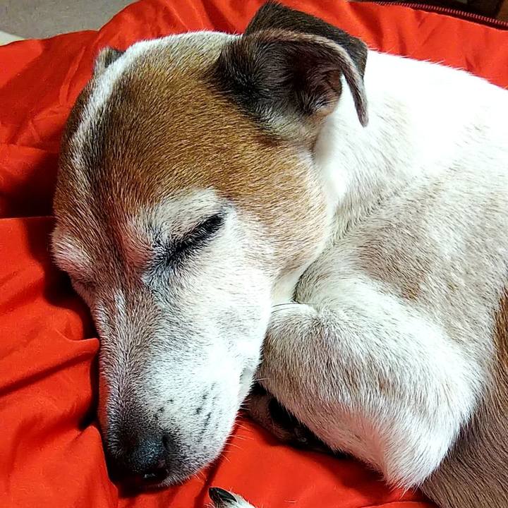 25c8ac03 3374 4840 8be1 8b3dc37f62bc 1542521210293