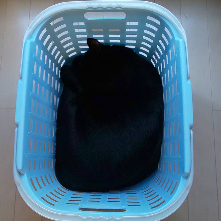 25c8d9ff 8e8e 481b 9548 e19cada53916 1691283062508