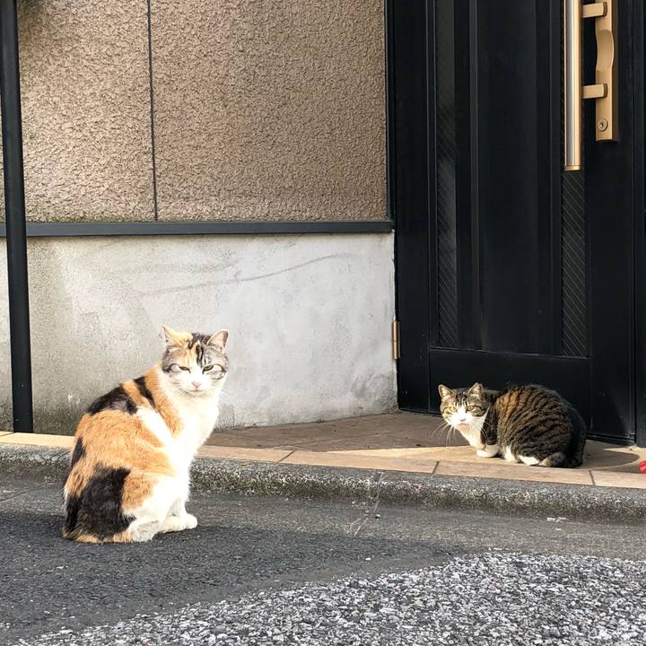 25c91dcb fe39 4414 88ae d06850068754 1523521477381