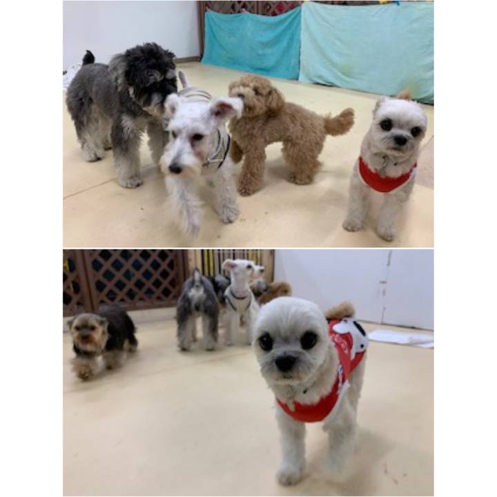 25c92636 6ad4 4d66 b144 f7e81394e933 1579605388093