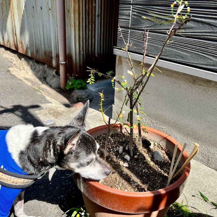 25c939e0 be1b 4364 88f3 c7a35bf0898d 1653787596226