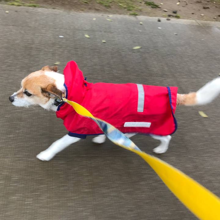 25c948ef 374f 447a 8b68 bc9031a9841e 1586731505681