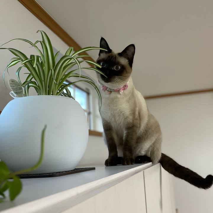 25c983b7 a576 4427 89cc 63c75ed0e524 1716147052014