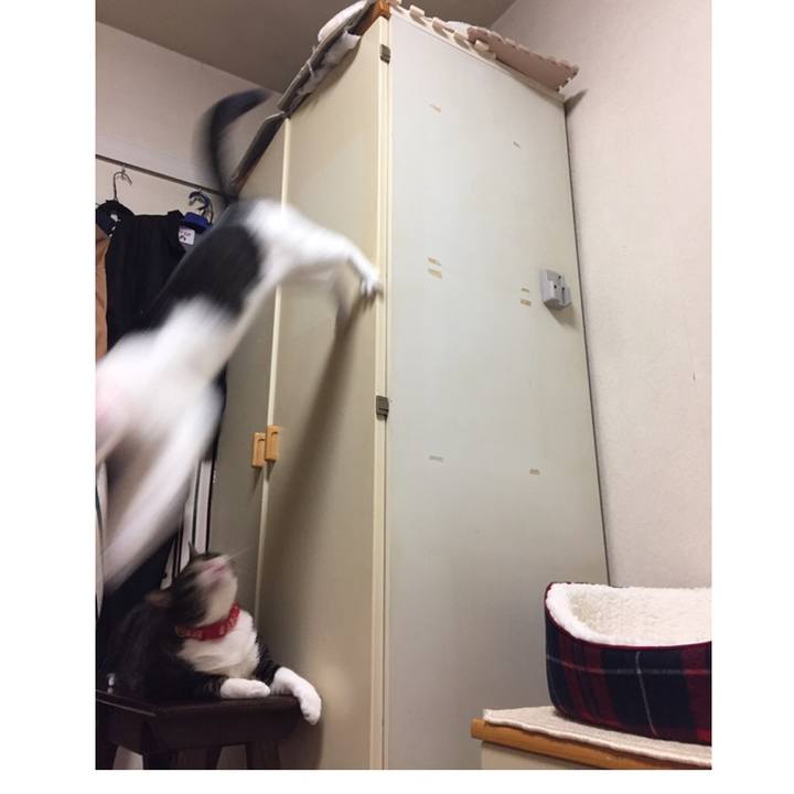 25c98452 0166 4900 8fb7 194fda529a3c 1539265017251