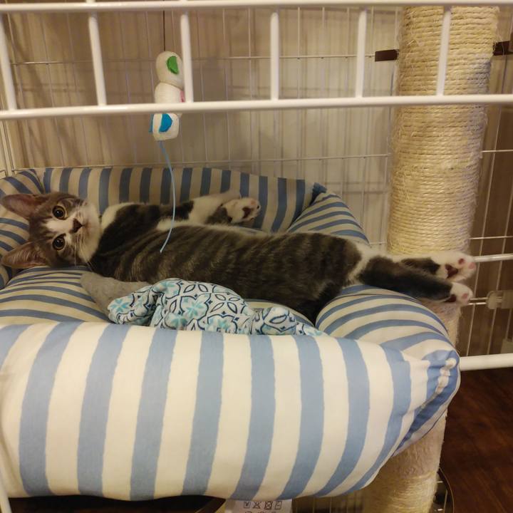 25c997ef 2ba8 4817 b229 32b515732be8 1565354270380