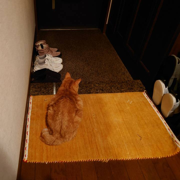 25c9acb9 30ff 4de5 b35e 64a91a556f06 1768222618355