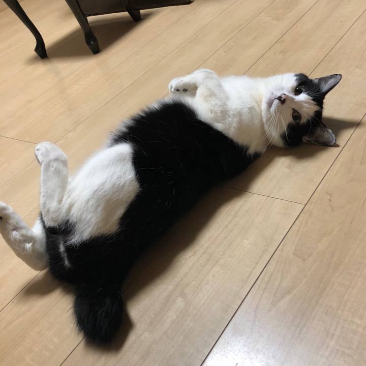 25c9bbee 6ee7 4563 a2f7 693c68ba5e41 1556073704353