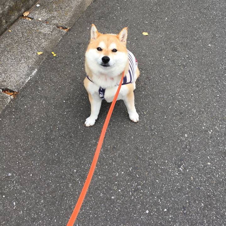 25ca1017 40cc 4912 be4a 47e46470f0d1 1559347939862