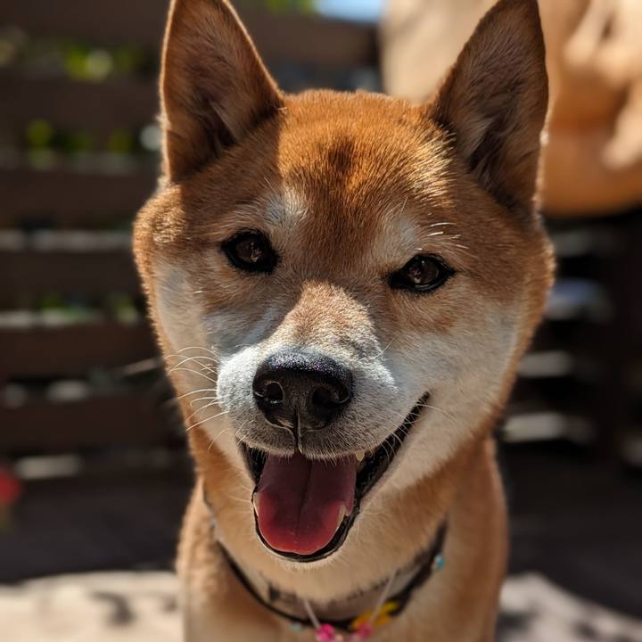 25ca1afa 1f67 4043 8dc3 77ee215929e6 1710137719404