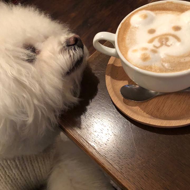 25ca63de ae1b 46da 9efa abe0eb229fae 1518792223154