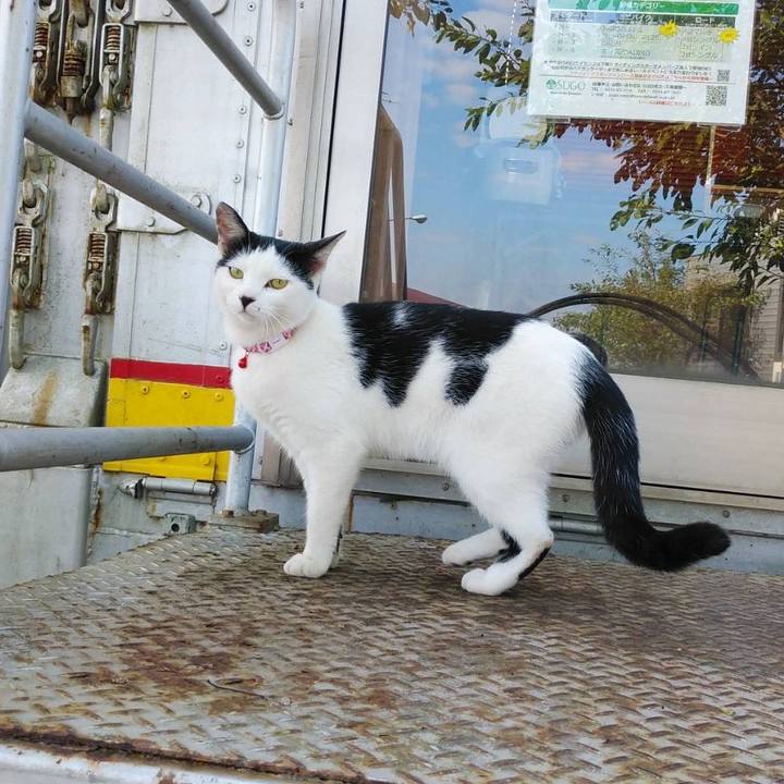 25ca7424 3293 4648 bce1 7282f252ab6a 1602548613156