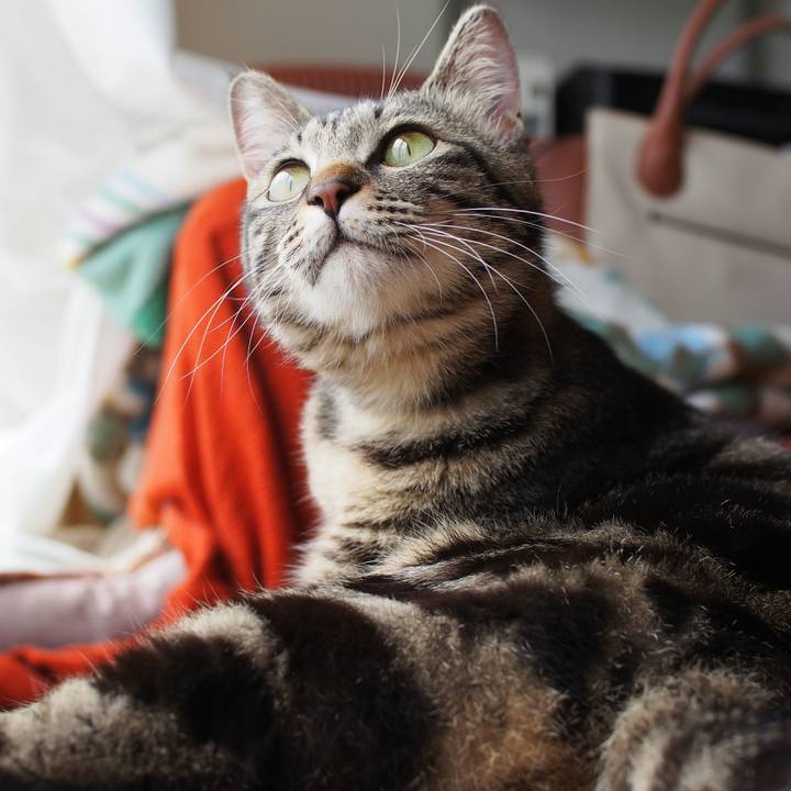 25cabf36 2c58 4cd8 b83e a8526a4e9b61 1526730360837