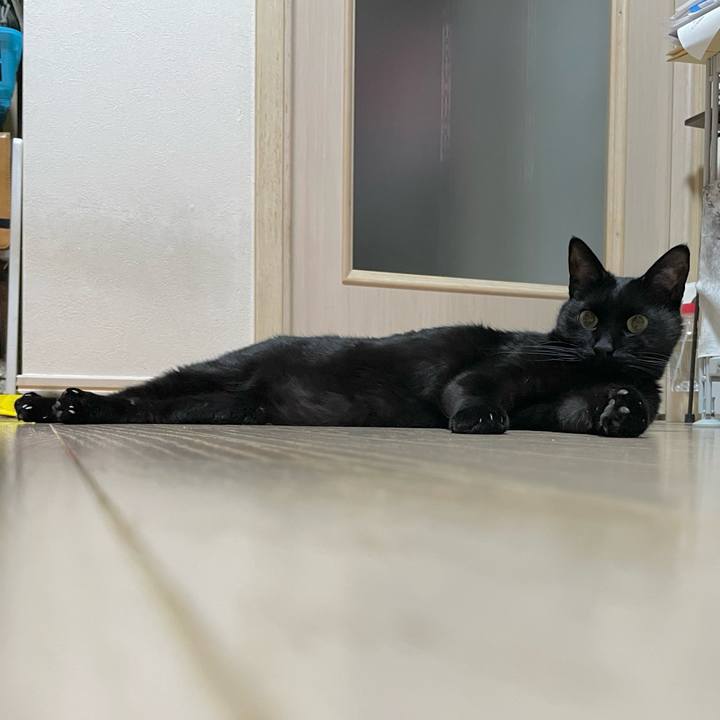 25cadb73 66d1 4b2d 817a 878bb0d0656e 1737375362637