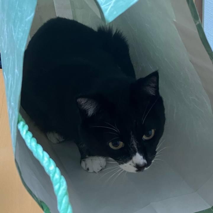 25cb0baa 533b 41a2 afa8 020430dc4192 1749010025513