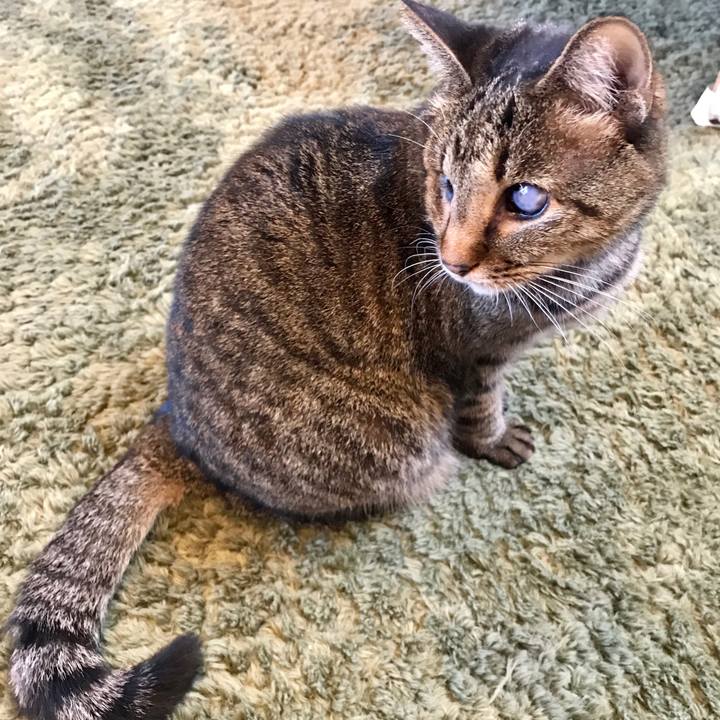 25cb0ed4 1cc8 4301 9bb5 2141931d50af 1574062825120