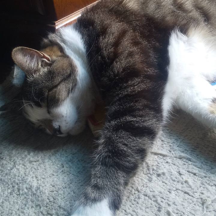 25cb476c 208b 4601 944f 428032c2a8d5 1716528507004