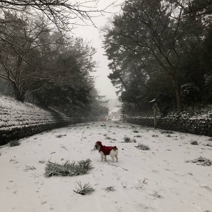 25cb7ec2 0996 47c5 b88c 1d6c2ac6fd49 1610063340250