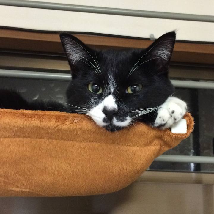 25cbae22 8f04 45b7 a298 512508f2fa92 1512704750701