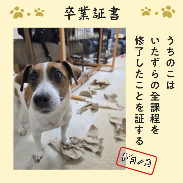 25cbf642 cc65 40cb a79c 8cf4b9fe4097 1772013369087