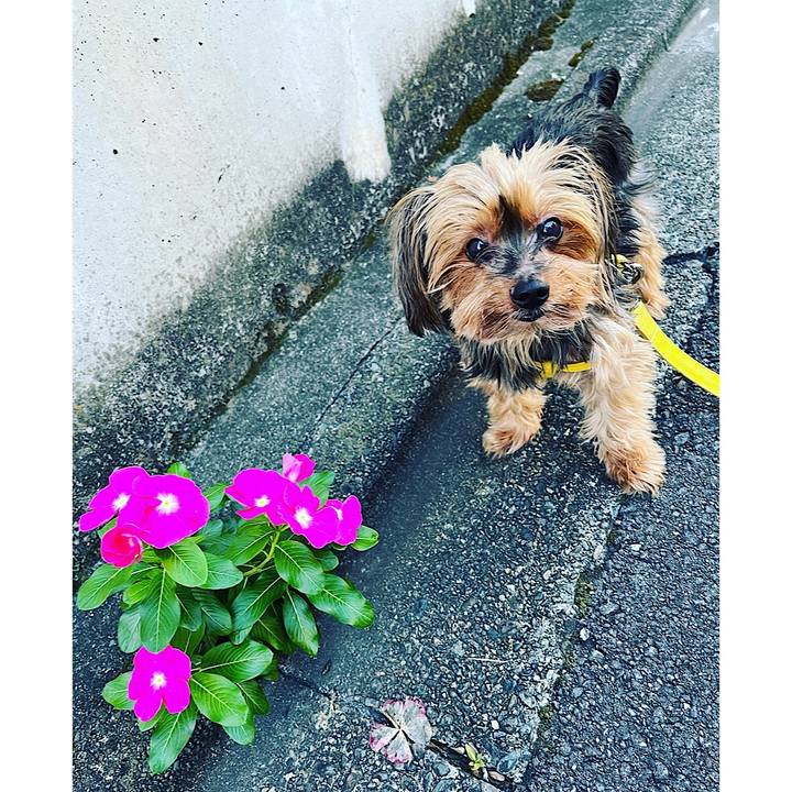 25cc05d5 8ad6 4ae8 a198 cf2b2bb19a42 1694472044135