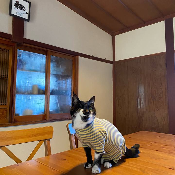 25cc1106 41b6 4e0b b3a8 61c1279aa9fd 1771136954519