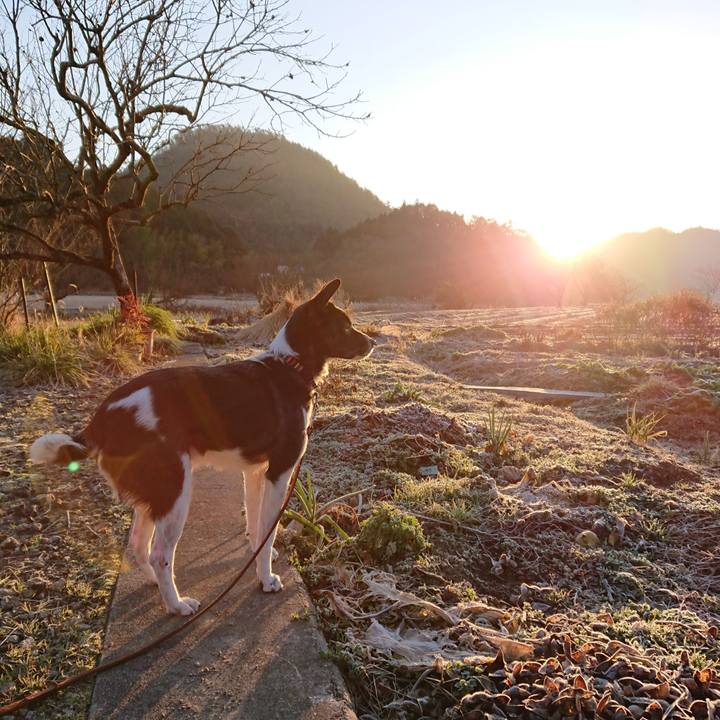 25cc35cd 2906 49dc 85ec b92333143b97 1579389705506