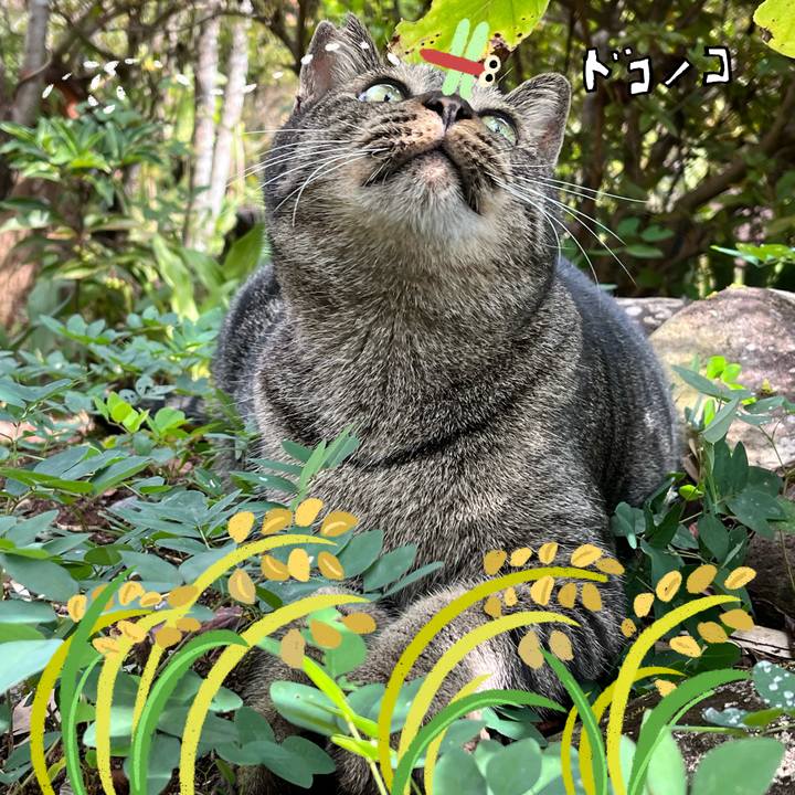 25cc5d74 65d3 44e3 8372 1886d24fb98e 1761134545353