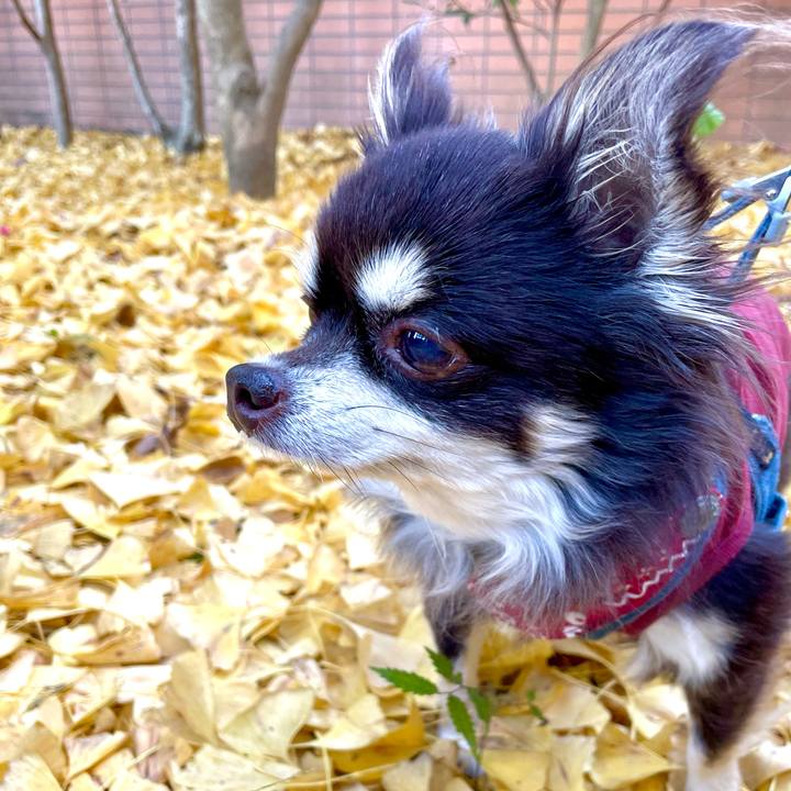 25cc7043 d5a5 4cff b22e ea1674af3afd 1637071123743