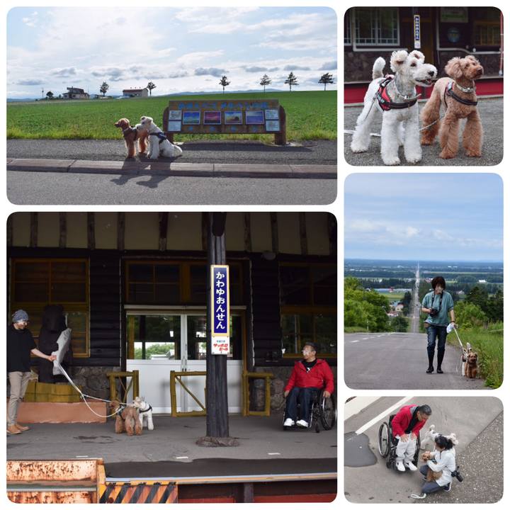 25cc7dc8 ffaf 4391 b881 61d6a70c0165 1562258192040