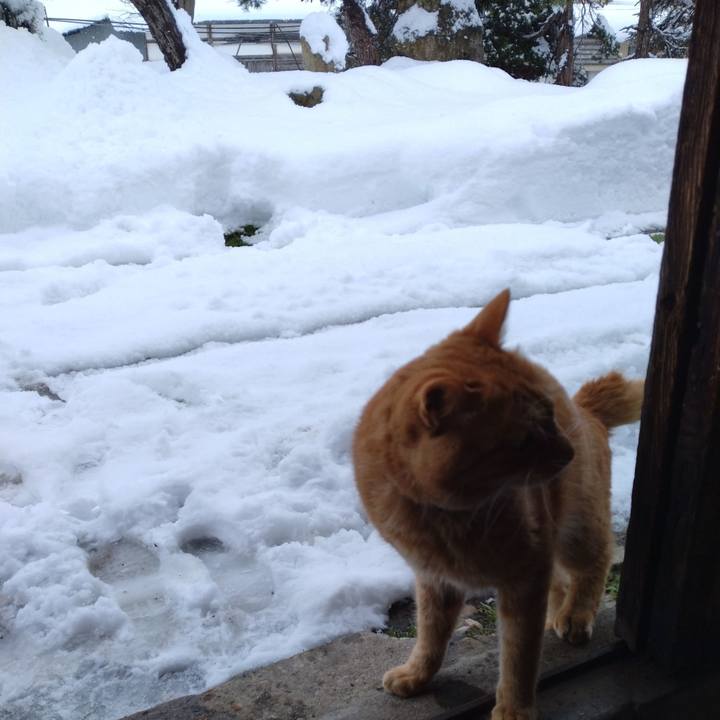 25ccb90d bd6e 4a51 a9d7 86943b8920d5 1671517048959