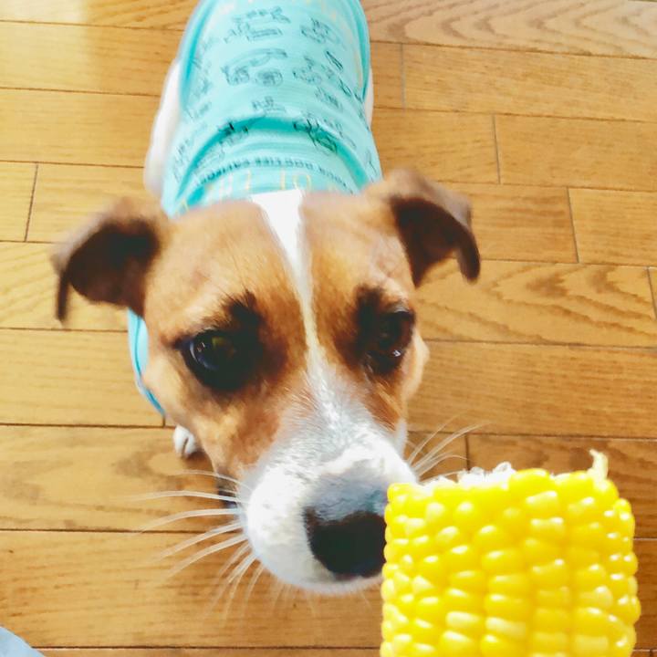 25ccbbe8 c65a 463f 8c39 67b8f22a5b49 1563964341463