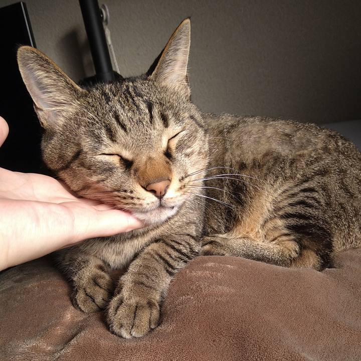 25ccbfca 4a57 4e2e a894 8ec78fd997b5 1634943739938