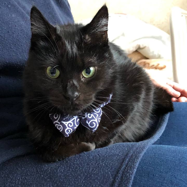 25ccda3b 28c3 4b05 8406 a4a789ac0f0c 1576995111926